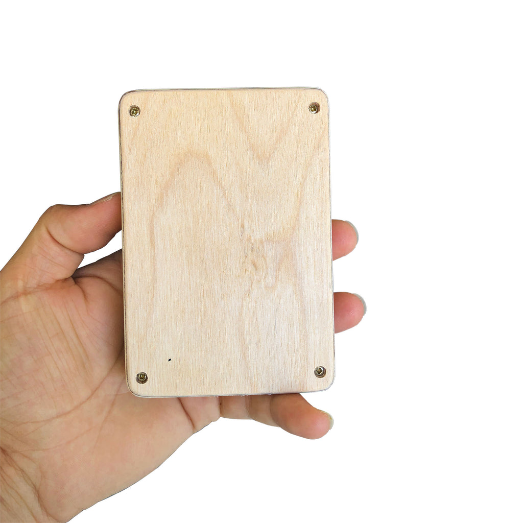 Handmade Wooden Jukebox: Toddler Music Player with 100 Kids Songs | Gift for Christmas