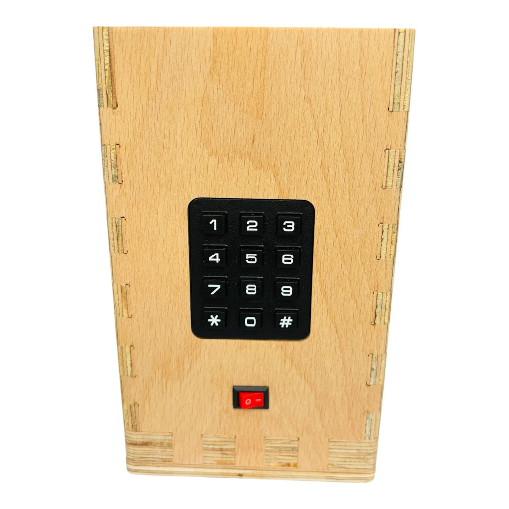 Handmade Wooden Piggy Bank for Children || Password Protected Money Safe