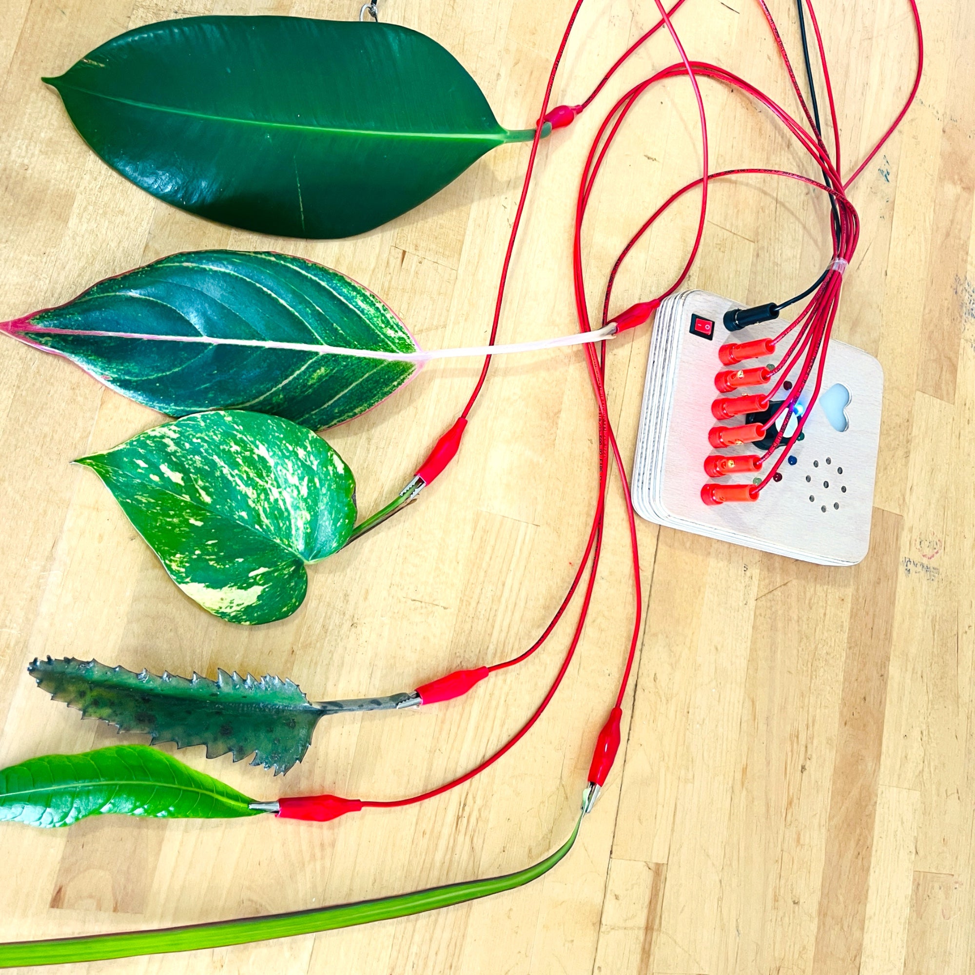 Makey Makey Wooden Sound Game - Touch and Play