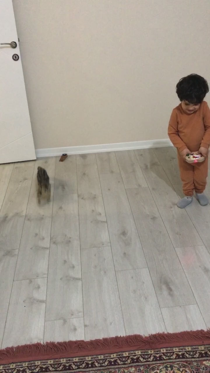 Handmade Baby Busy Board: Wooden Spaceship Controller Toy